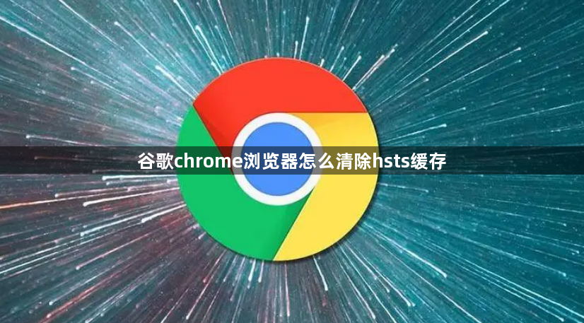 谷歌chrome浏览器怎么清除hsts缓存缩略图