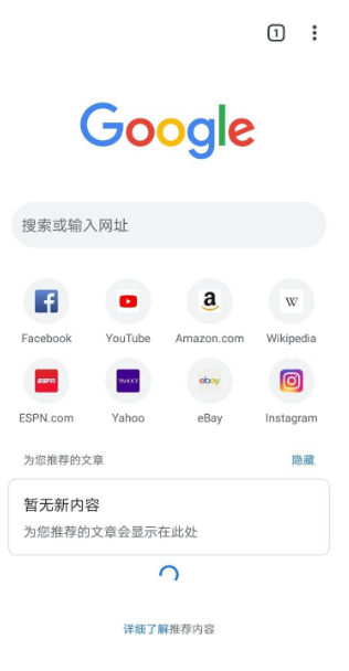 谷歌chrome浏览器app怎么用3