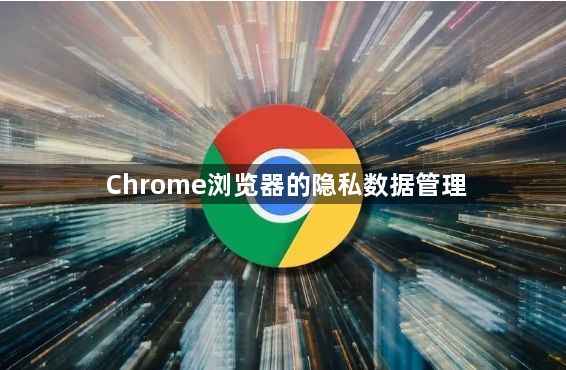 Google Chrome浏览器的隐私数据管理缩略图