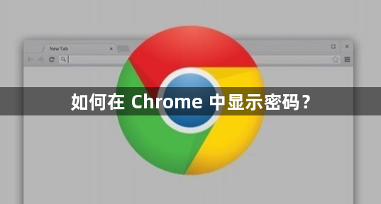 如何在 Chrome 中显示密码？缩略图