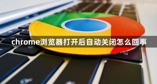 chrome浏览器打开后自动关闭怎么回事1