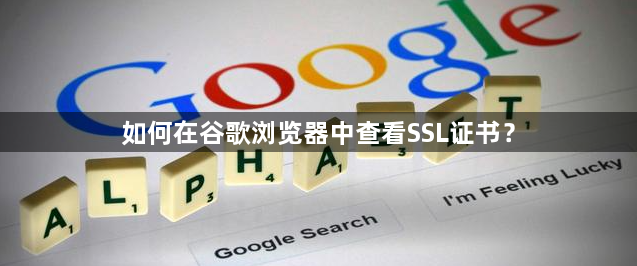 如何在谷歌浏览器中查看SSL证书？缩略图