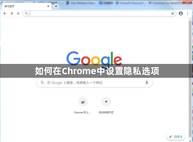 如何在Chrome中设置隐私选项缩略图